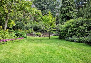 Optimiser l'expérience du jardin à Montcey